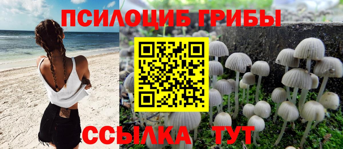 Псилоцибиновые грибы ЛСД Отрадное